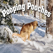 Dog Poop Calendar Festivals Paper Card