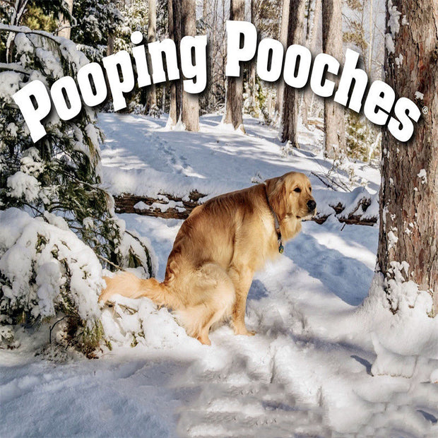 Dog Poop Calendar Festivals Paper Card