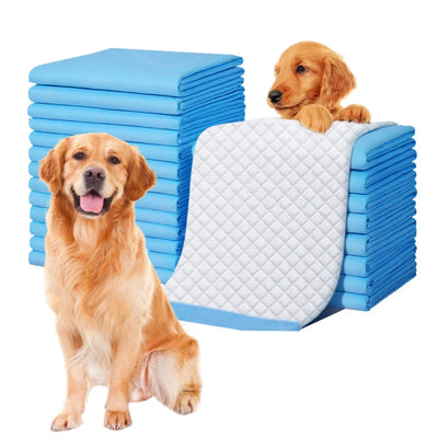 Pet Disposable Diapers Underpad for Dogs Toilet Potty Pad Grooming and Care Puppy Training Pads Diapers60 × 60 Pet Home Supplies