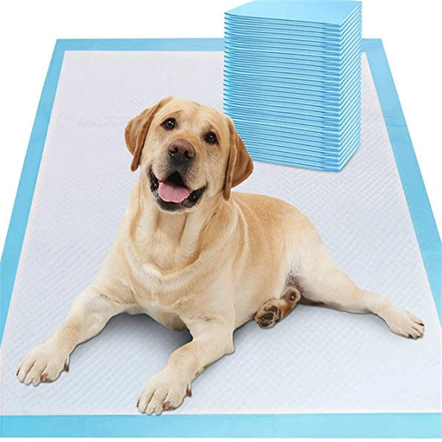 Pet Disposable Diapers Underpad for Dogs Toilet Potty Pad Grooming and Care Puppy Training Pads Diapers60 × 60 Pet Home Supplies